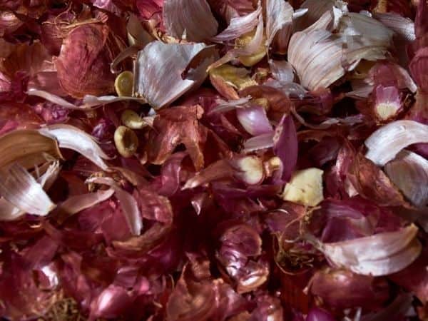 Can you compost onions peels and skins