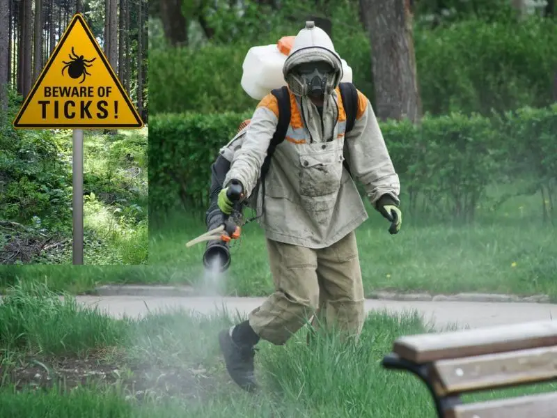 Homemade Tick Spray for Yard