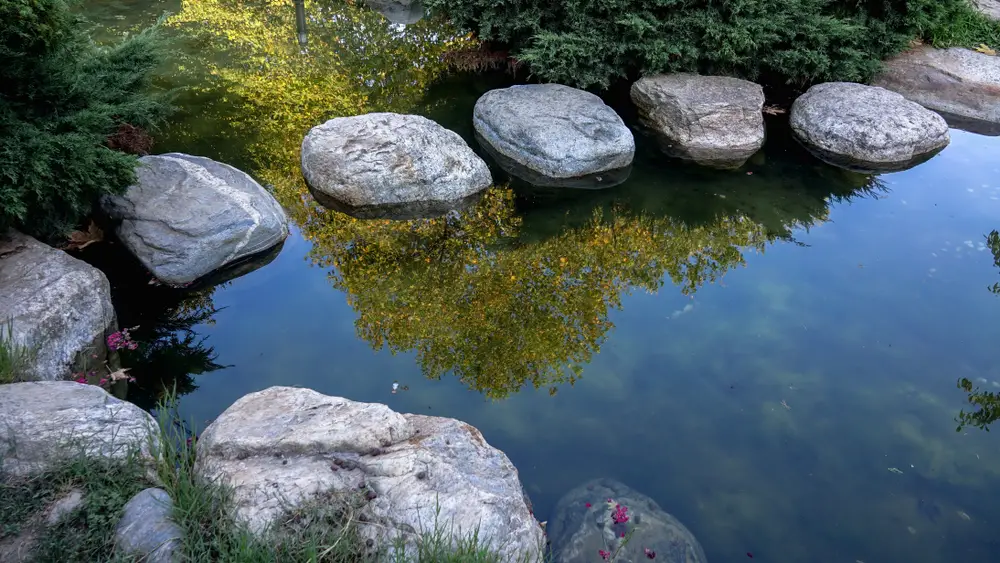 Rocks to landscape with around a pool