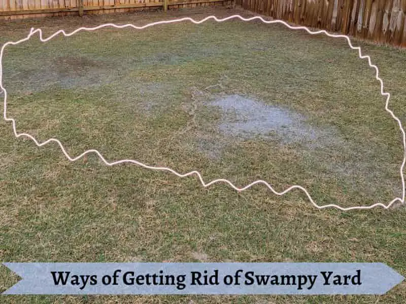 Ways to get rid of swampy yard, stagnant water on yard.
