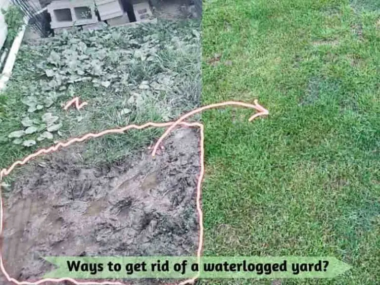 Ways to Get Rid of Standing Water In Yard YardOwner