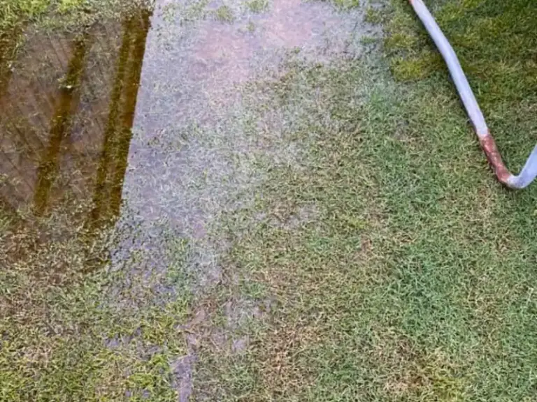 Ways to Get Rid of Standing Water In Yard
