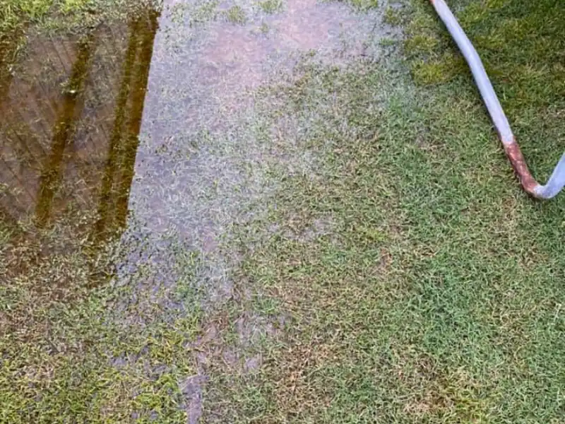 Ways to Get Rid of Standing Water In Yard YardOwner