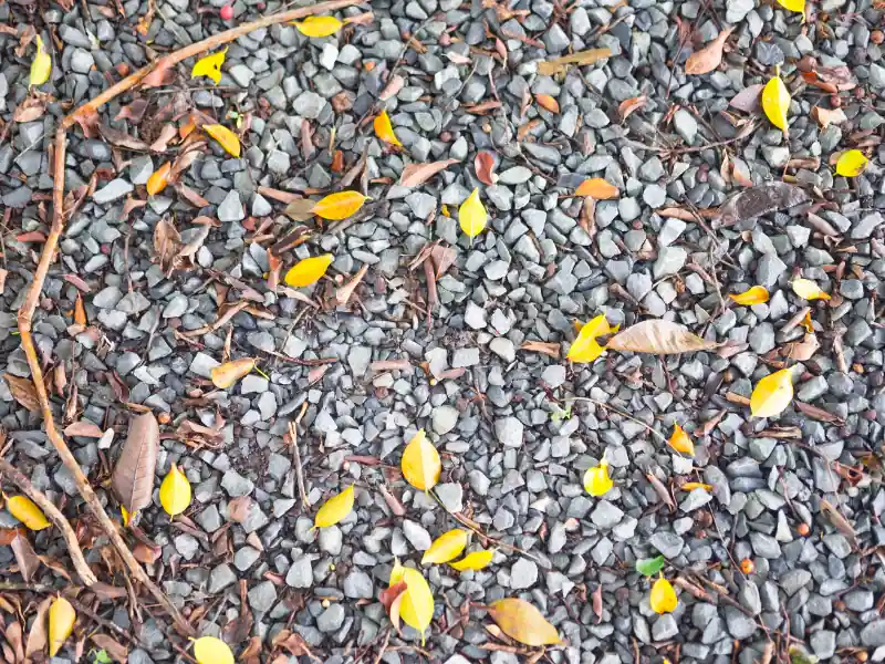 Dirt on a gravel driveway